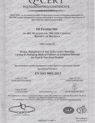EN_ISO_9001_2015